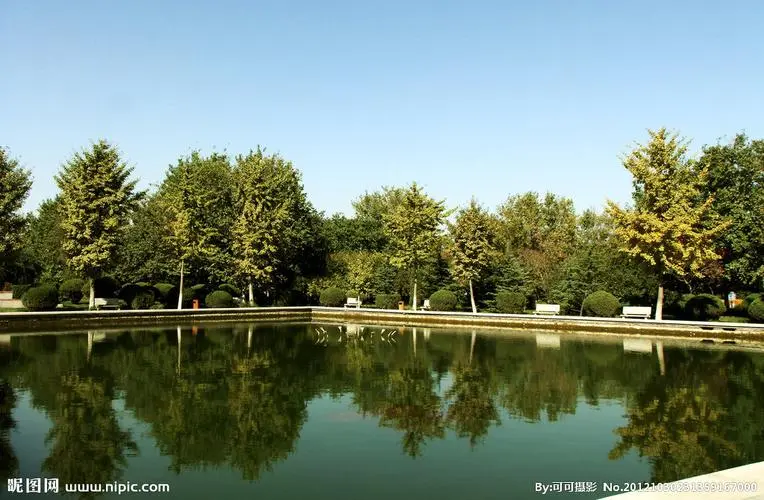 古典園林景觀設(shè)計(jì)常用植物