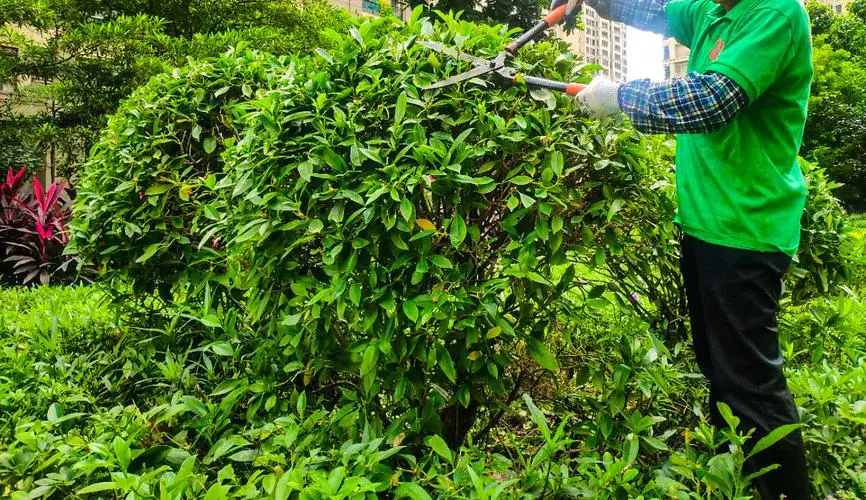 別墅中庭園林景觀設計方案