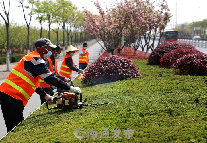 大興區綠化亮化工程制作