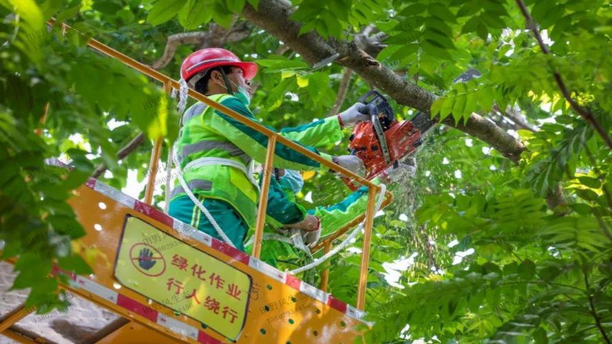 現代園林景觀設計色彩分析