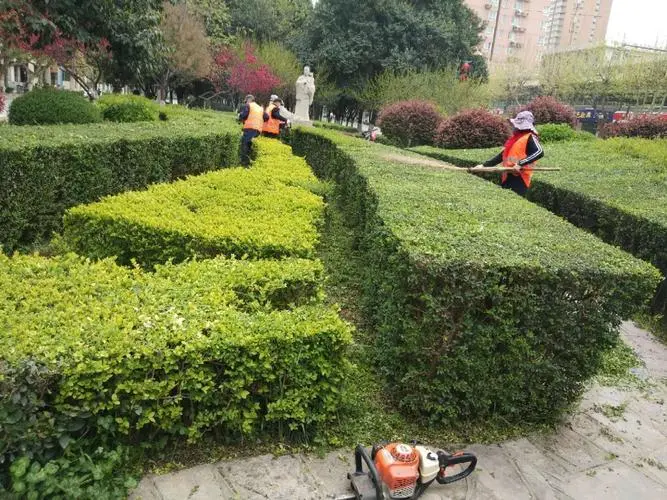 怎么玩綠化工程